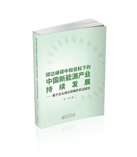 碳达峰碳中和目标下的中国新能源产业持续发展--基于企业成长视角的实证研究 商品图0