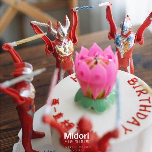 要相信光·低卡糖蛋糕 | Midori 商品图2