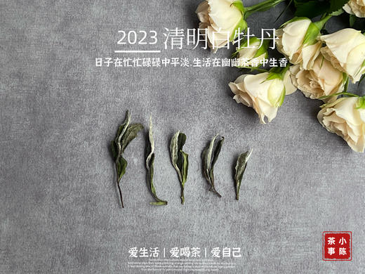 2023清明白牡丹，兰花香落水，汤水敦厚、润泽，一杯回到杏花春雨的江南 商品图2