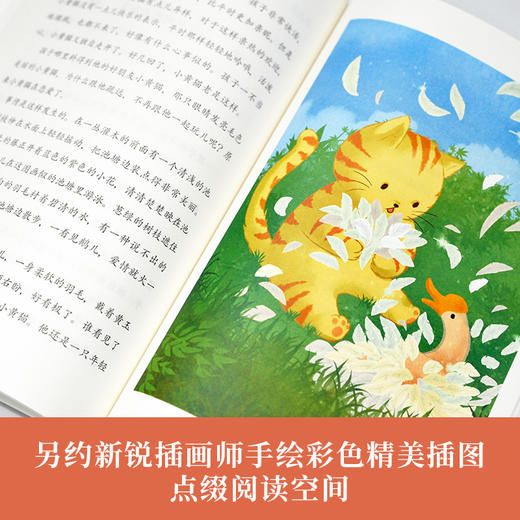 稻草人-天猫文库 商品图4