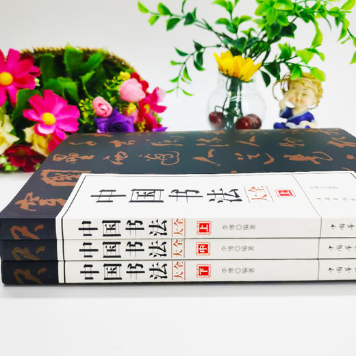 B393《中国书法大全上、中、下》（全3册） 商品图3