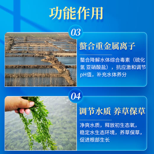 华畜 腐殖酸钠粉25公斤装 抑制青苔 培藻肥水 净水改底 商品图3