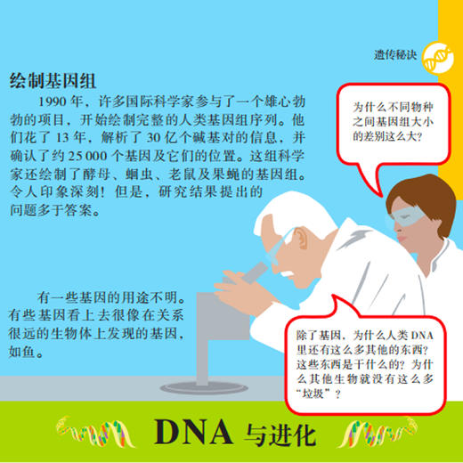 《有趣的学习》（全10册） 商品图6