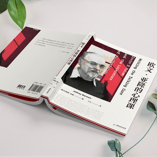 欧文·亚隆的心理课    [美]杰弗里·伯曼 著  磨铁图书 商品图5
