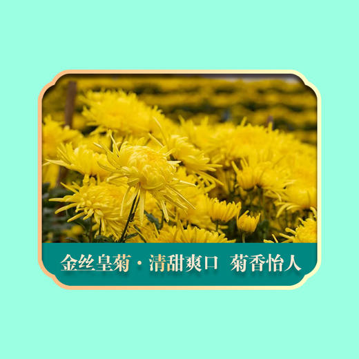 绿帝-甄选怡夏礼盒 商品图7