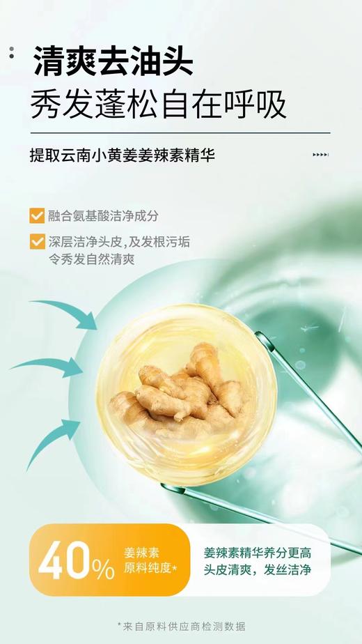 澳雪小黄姜控油去屑洗发水 商品图10