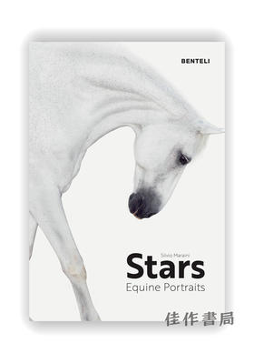 Stars: Equine Portraits / 明星：拍摄马的照片