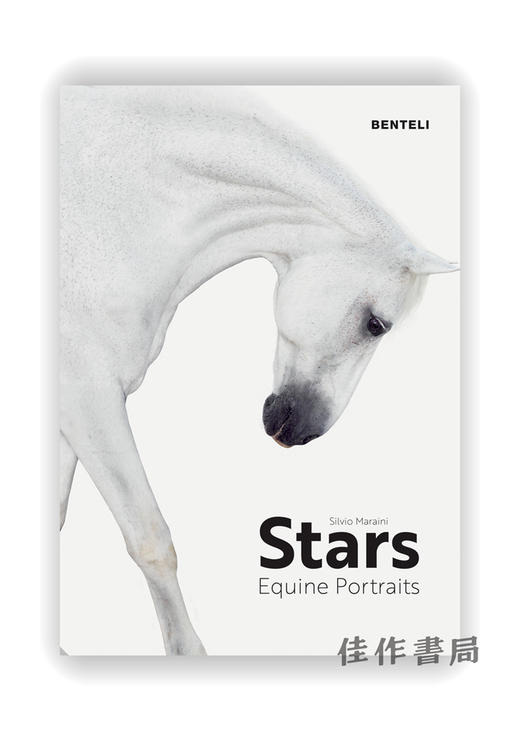 Stars: Equine Portraits / 明星：拍摄马的照片 商品图0