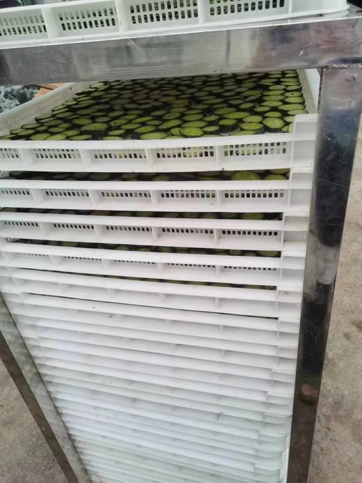 【干货】青黄瓜干/白黄瓜干（100g) 商品图3