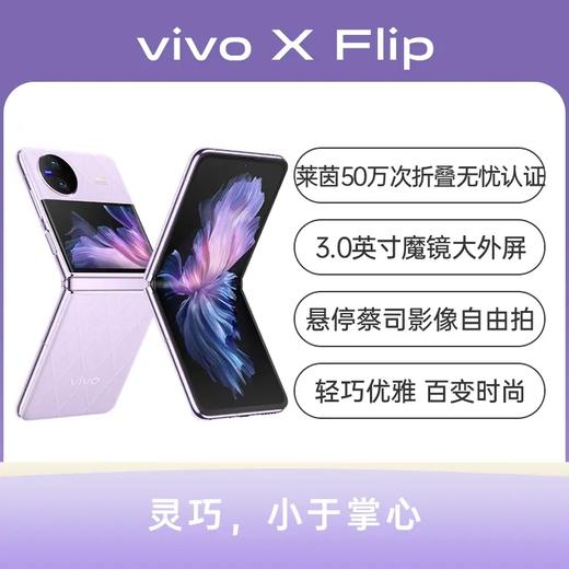 vivo X Flip 全网通5G版 绸金 12GB+256GB 商品图2