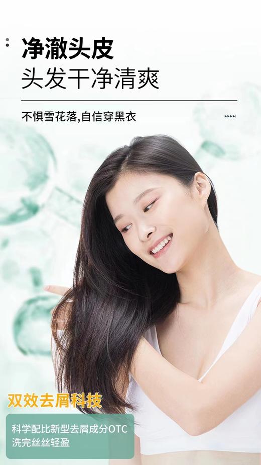 澳雪小黄姜控油去屑洗发水 商品图11