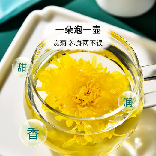 花养花丨 金丝皇菊 10g（20包）10g（20包）精选大朵 一朵一杯 商品图2