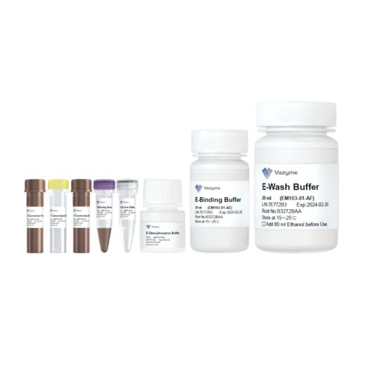 EpiArt Magnetic DNA Methylation Bisulfite Kit 商品图0