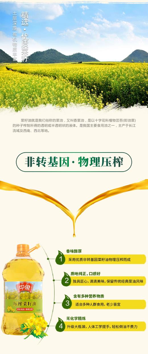 黄冈黄梅 中俊 压榨菜籽油5L 商品图1