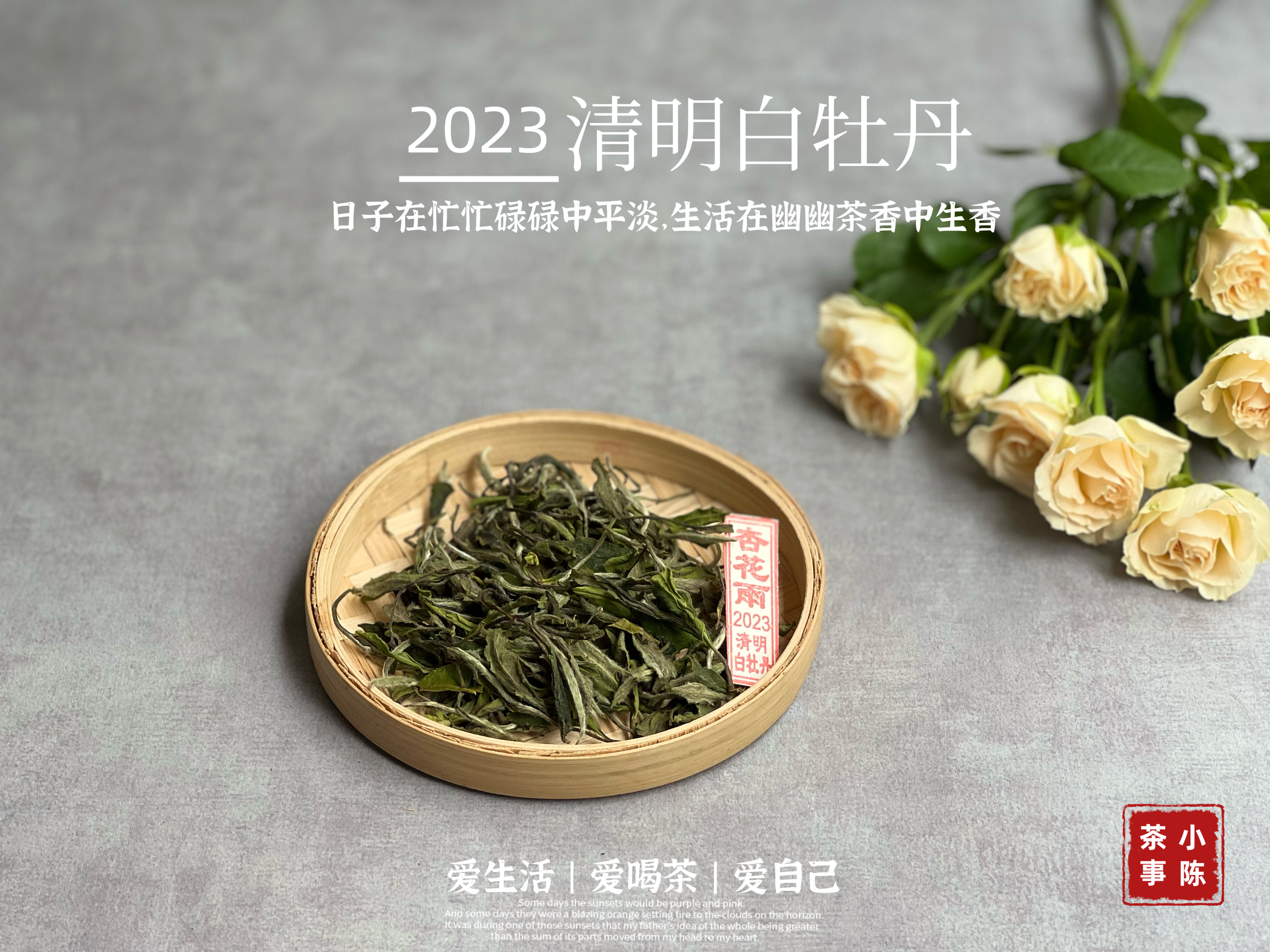 2023清明白牡丹，兰花香落水，汤水敦厚、润泽，一杯回到杏花春雨的江南