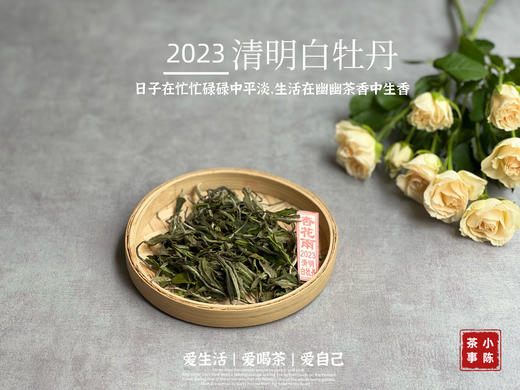 2023清明白牡丹，兰花香落水，汤水敦厚、润泽，一杯回到杏花春雨的江南 商品图0
