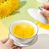 花养花丨 金丝皇菊 10g（20包）10g（20包）精选大朵 一朵一杯 商品缩略图4