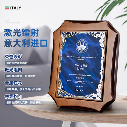 创意奖牌定制定做纪念牌颁奖木质加盟牌匾荣誉证书木托授权牌聘书 商品图1