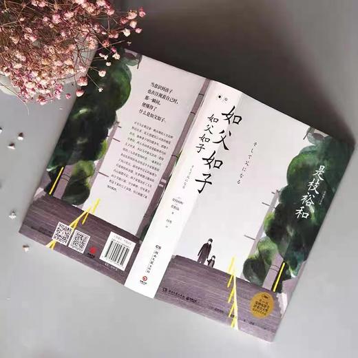 如父如子 商品图3