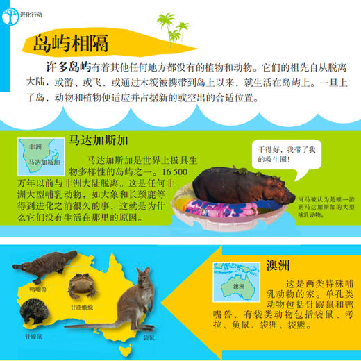 《有趣的学习》（全10册） 商品图9