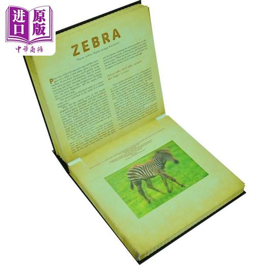 【中商原版】光与影视觉书系列 草原 会动的3D图片书 Safari A Photicular Book 动物知识科普 英文原版 进口图书 商品图2