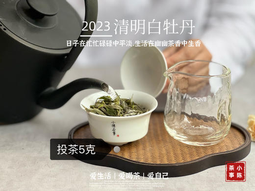 2023清明白牡丹，兰花香落水，汤水敦厚、润泽，一杯回到杏花春雨的江南 商品图7