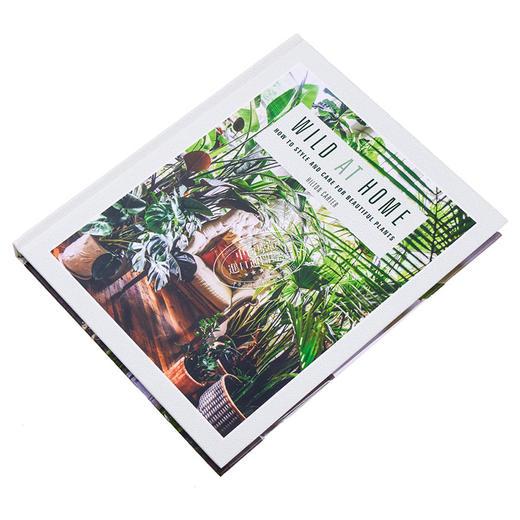 【中商原版】野生家居:如何设计和照顾美丽的植物 英文原版 Wild at Home 商品图2