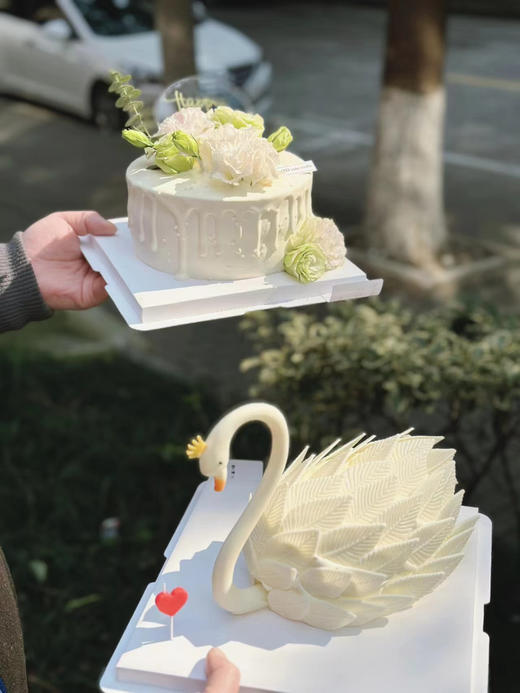 6-8寸 白天鹅 商品图0
