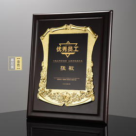 钢琴漆木质奖牌定制定做金属授权牌授权证书奖状荣誉加盟牌匾奖杯