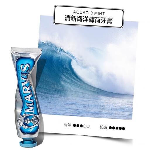 【86元会员福利】玛尔仕海洋薄荷牙膏85ml 商品图2