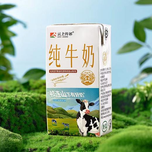 【成长乳饮|小飞天纯牛奶200ml*10支*3箱】6.4g优质乳蛋白+210mg优质钙，乳蛋白大于3.5克，高于国标要求，儿童成长黄金搭档，北纬39°黄金自有牧场 商品图3