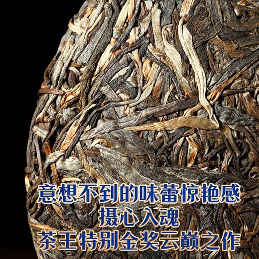 2023头春茶吉顺号普洱茶生茶云南七子饼蓝票帕莎犀牛塘古树茶357克 商品图4