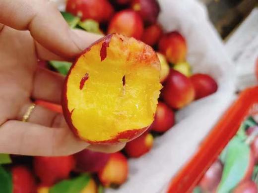 珍珠小油桃一箱（拼团） 商品图2
