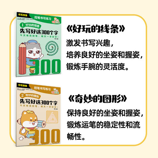 先写好这300个字   焦玫 著  磨铁图书 商品图3