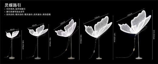 灵蝶路引（运费自理） 商品图0