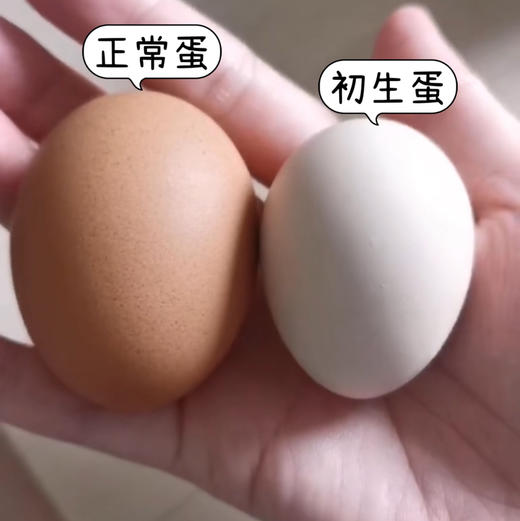 周五配送万柳地区！农家散养初生蛋！初生蛋就是鸡第一次下的蛋！！个头小，营养价值高，有的小朋友不喜欢大鸡蛋的味道，可以给他尝尝这个！孩子一定会爱吃😃五斤/箱 商品图3