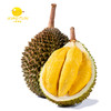 马来西亚进口🇲🇾D197【小豚】猫山王榴莲果肉，采用液氮冷冻技术，新鲜速冻！0添加剂！全程冷链运输，留住口感 商品缩略图7