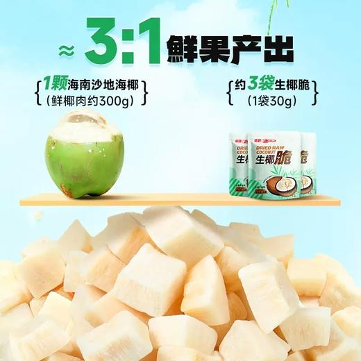 【南国食品】生椰脆块30gx8袋海南特产 商品图2