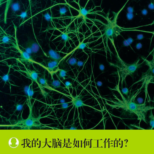 《有趣的学习》（全10册） 商品图5