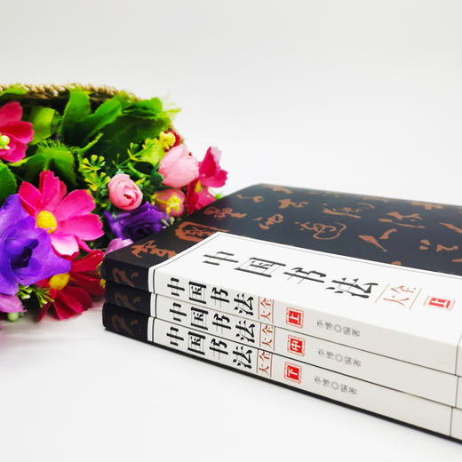 B393《中国书法大全上、中、下》（全3册） 商品图1
