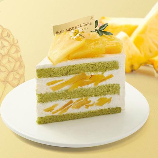 斑斓凤梨 商品图0