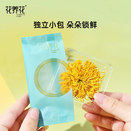 花养花丨 金丝皇菊 10g（20包）10g（20包）精选大朵 一朵一杯 商品图6