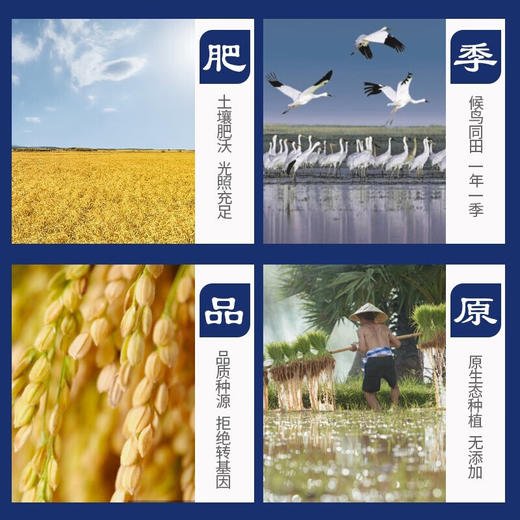 鄱阳湖冷浆生态米5kg 商品图2