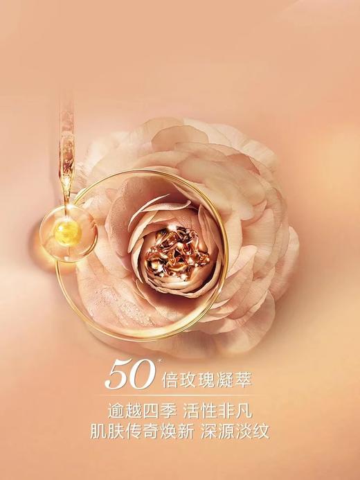 兰蔻新菁纯眼霜 商品图4