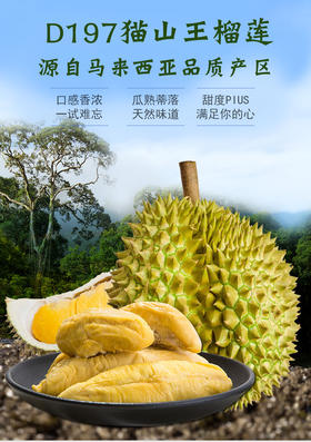 马来西亚进口🇲🇾D197【小豚】猫山王榴莲果肉，采用液氮冷冻技术，新鲜速冻！0添加剂！全程冷链运输，留住口感