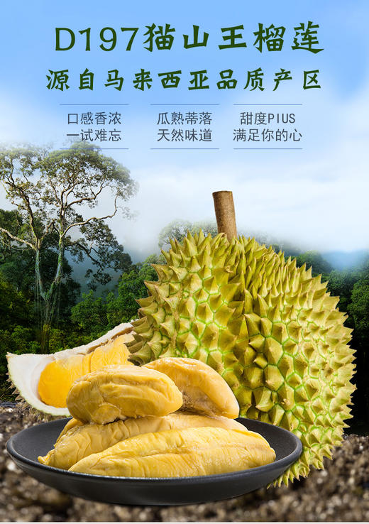 马来西亚进口🇲🇾D197【小豚】猫山王榴莲果肉，采用液氮冷冻技术，新鲜速冻！0添加剂！全程冷链运输，留住口感 商品图0
