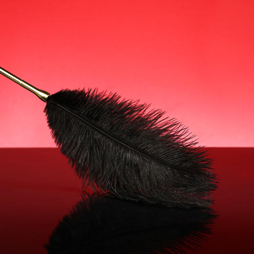 【情趣用品】谜姬 鸵鸟毛挑逗棒SM 商品图3