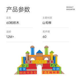 Hape60块益智积木E8007