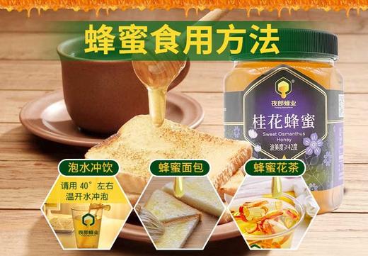 【夜郎蜂业】桂花蜂蜜438g 商品图0