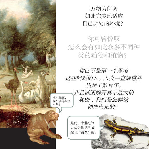 《有趣的学习》（全10册） 商品图3